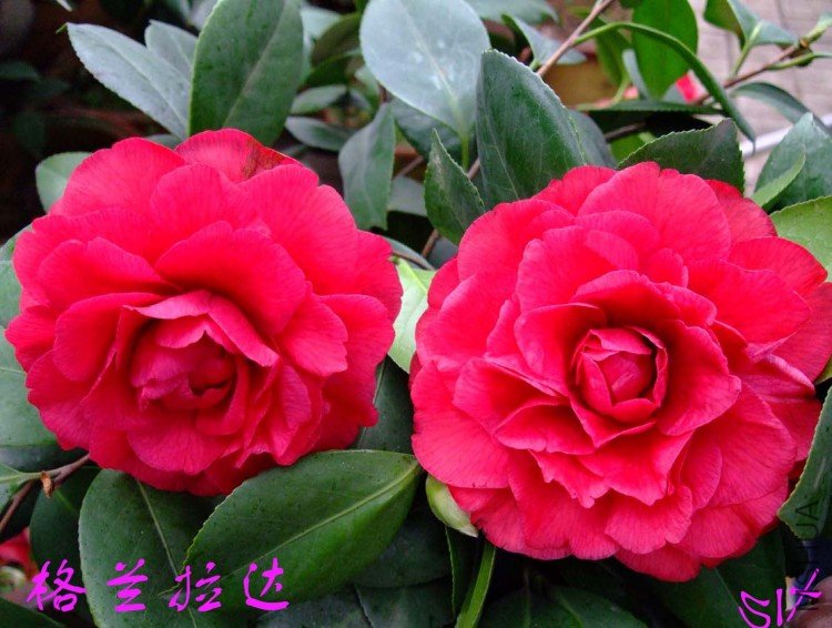 �������� 10-4-6 (2).jpg