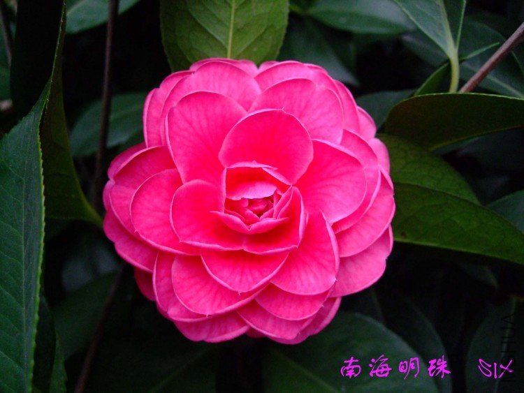 �Ϻ����� 10-4-6(1).jpg