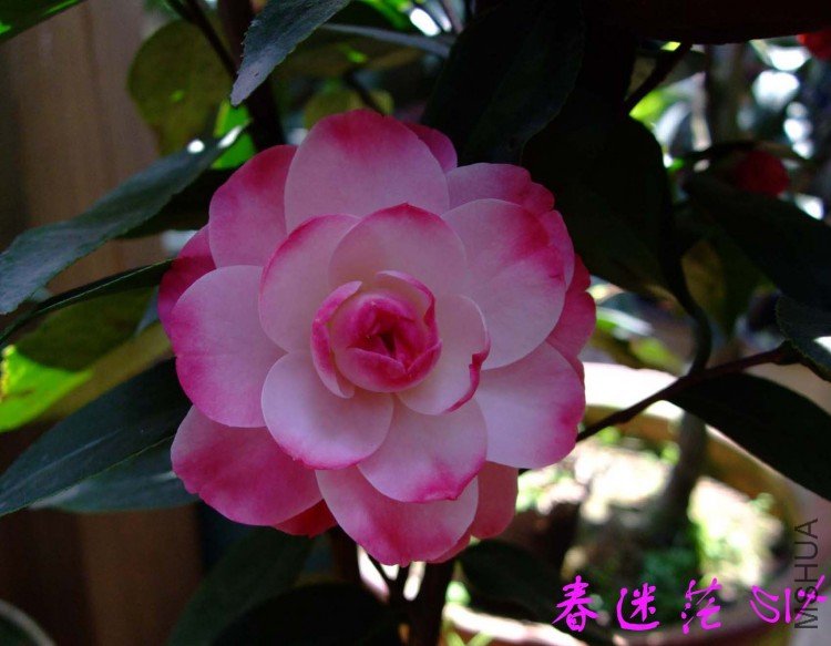 ����ã 10-4-5(1).jpg