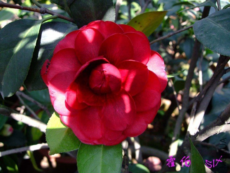 ���� 10-4-5(1).jpg