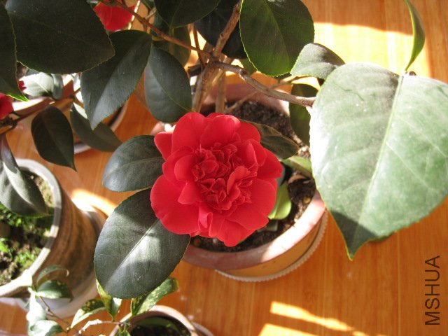 ��Ƭ 030.jpg