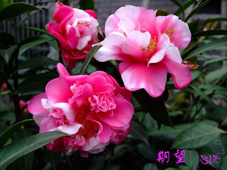 ���� 10-4-6(1).jpg