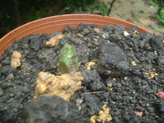DSC08943.JPG