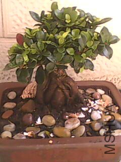 20100407114022.jpg