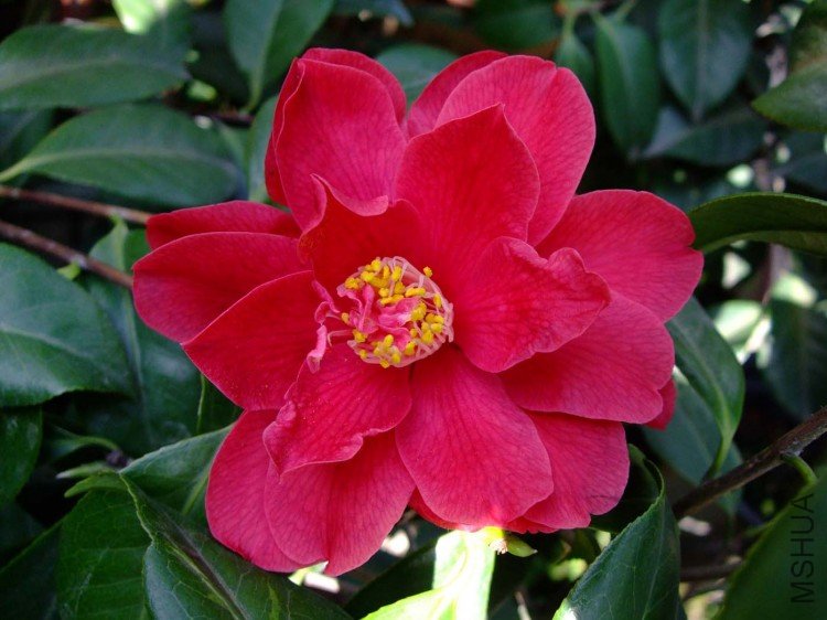 ����  10-4-7 (2).jpg