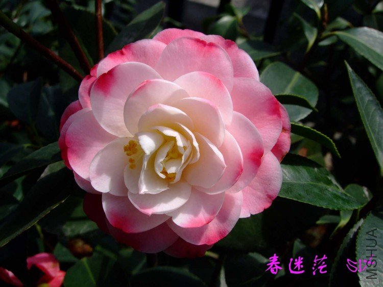 ����ã 10-4-7(1).jpg