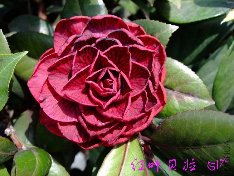 ����  10-4-7 (2).jpg