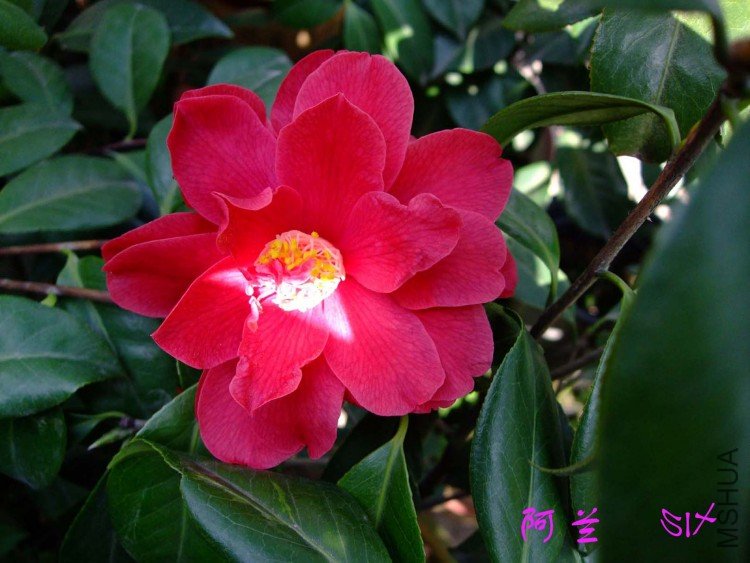 ����  10-4-7(1).jpg