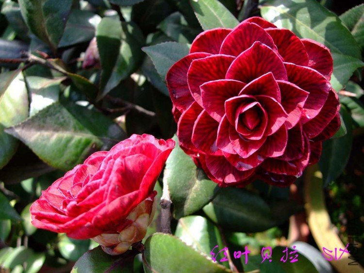 ����  10-4-7(1).jpg