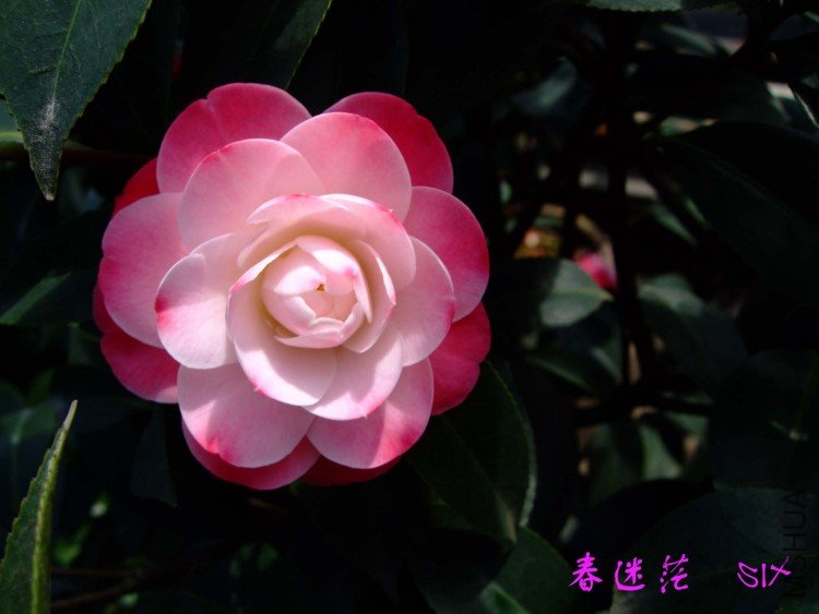 ����ã 10-4-7 (3).jpg