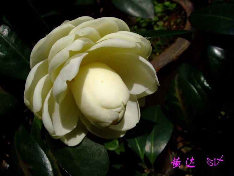 �ƴ�  10-4-7(1).jpg