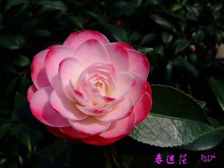 ����ã 10-4-7 (4).jpg