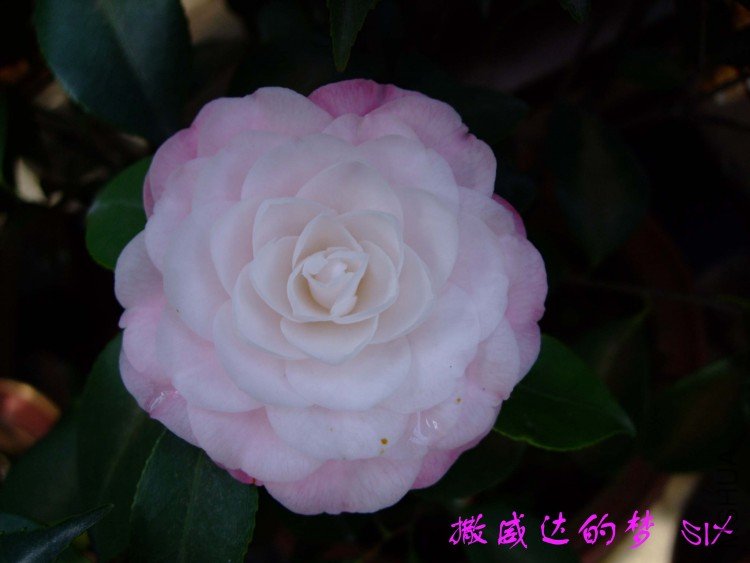 ���� 10-4-7(1).jpg