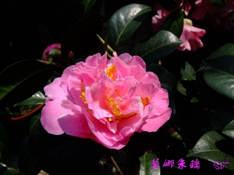 Ī������ 10-4-7(1).jpg