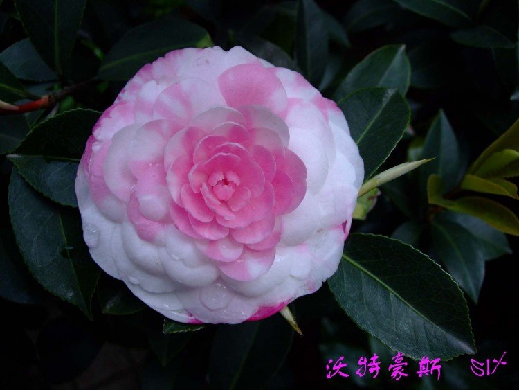 ���غ�˹  10-4-7(1).jpg