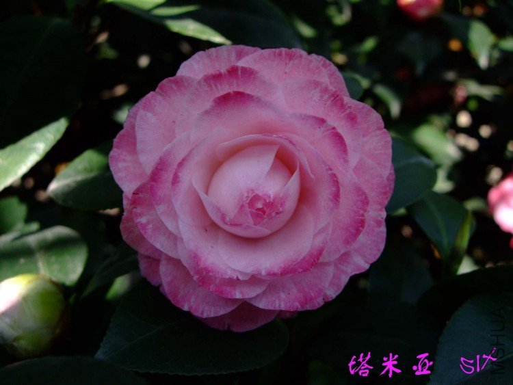 ������ 10-4-7 (2).jpg