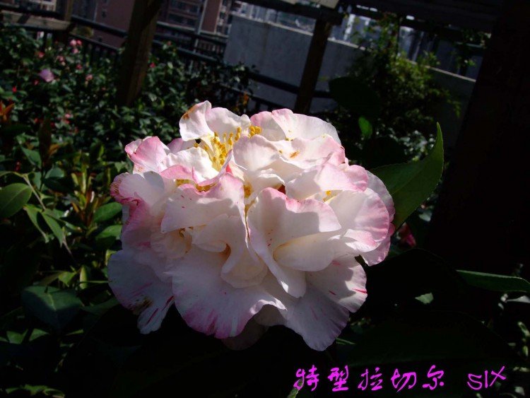 �������ж� 10-4-7(1).jpg