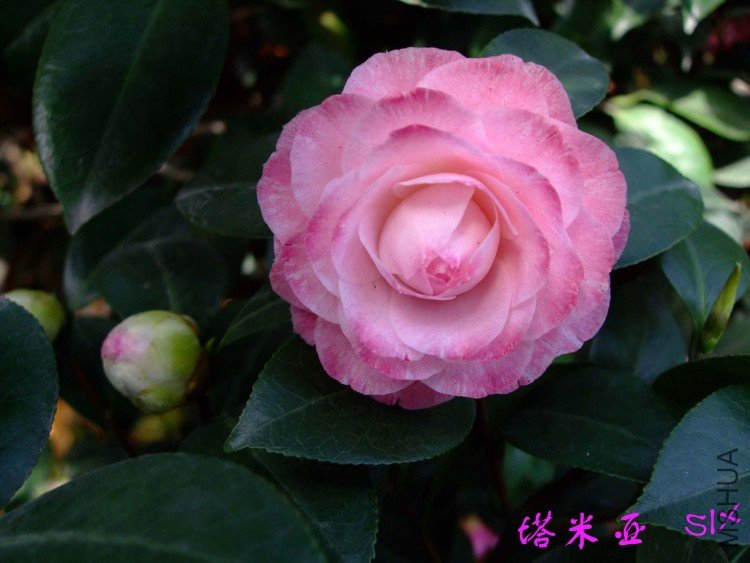 ������ 10-4-7(1).jpg