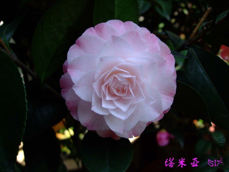 ������ 10-4-7 (3).jpg