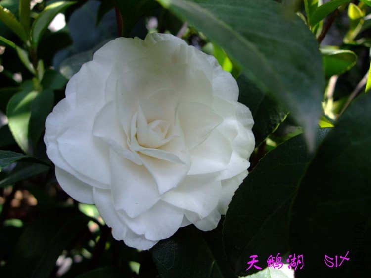 ����  10-4-7(1).jpg