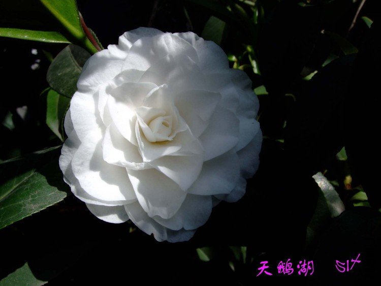 ����  10-4-7 (2).jpg