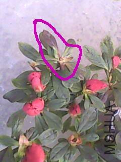 20100407112840.jpg