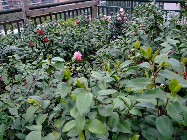 �������� 10-4-7 (3).jpg