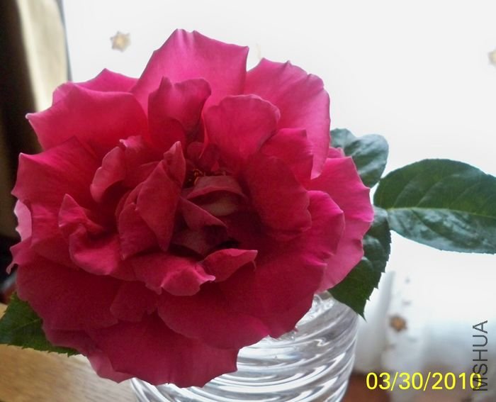 ��10-03-30-C.jpg