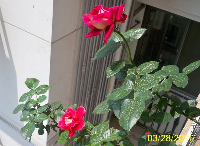 ��10-03-28.jpg