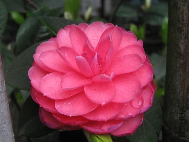 ������ 015.jpg