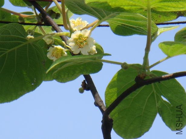 DSC03057.JPG