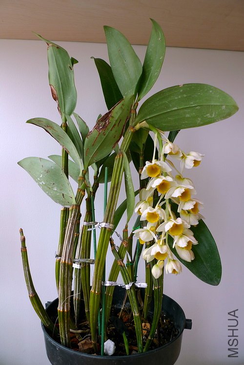 ��Ƭ 553(500).jpg