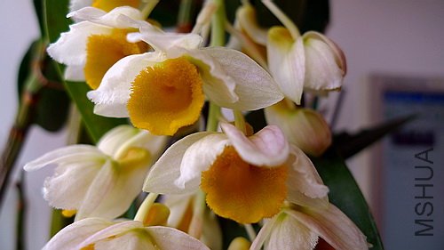 ��Ƭ 545(500).jpg
