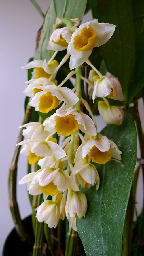 ��Ƭ 550(500).jpg