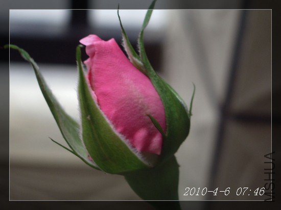IMGP6792m.jpg