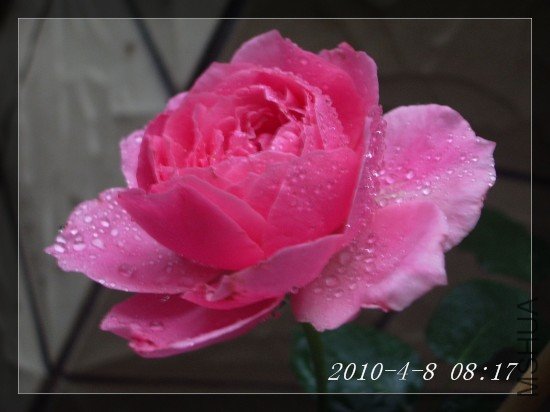 IMGP6878m.jpg