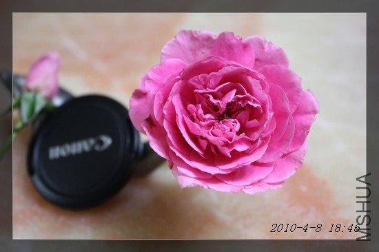 IMG_1321m.jpg