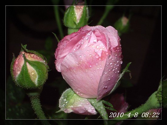 IMGP6901m.jpg