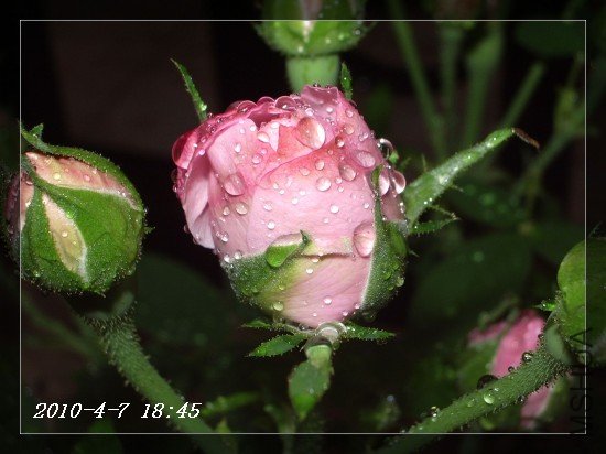 IMGP6833m.jpg