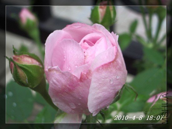 IMGP6908m.jpg