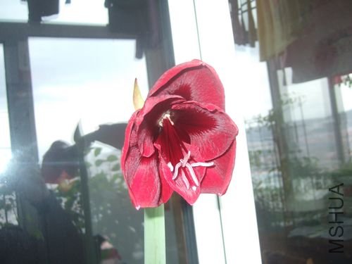 DSCF3208.JPG