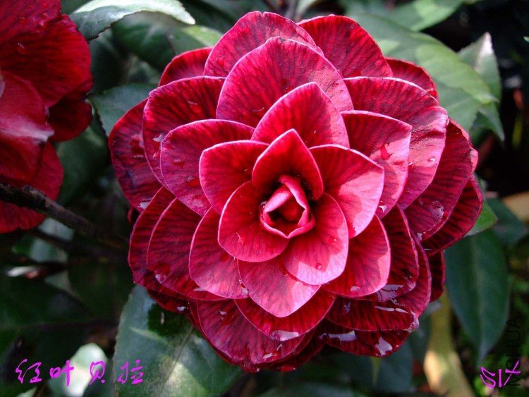 ����  10-4-9 (2).jpg