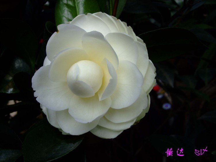 �ƴ� 10-4-9(1).jpg