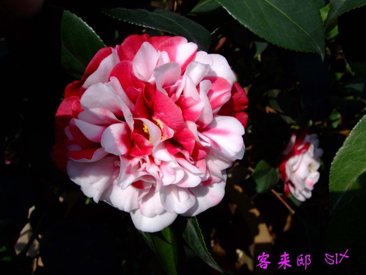 ����ۡ  10-4-9(1).jpg