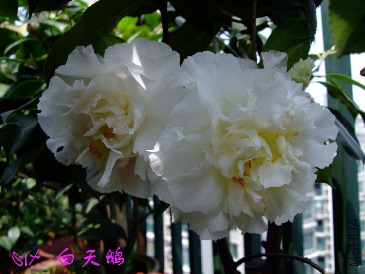 ����� 10-4-9 (1).jpg