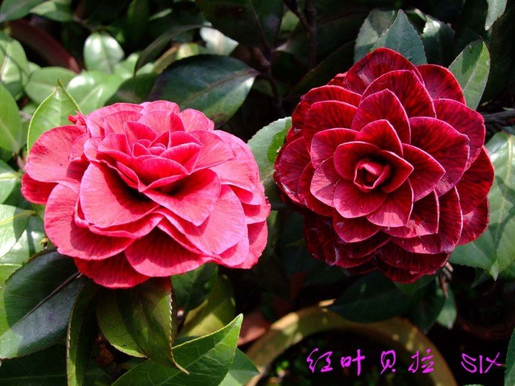 ����  10-4-9(1).jpg