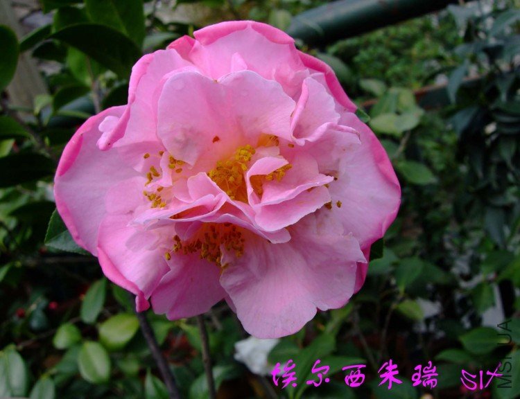 ���������� 10-4-9(1).jpg