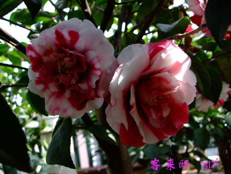 ����ۡ  10-4-9 (2).jpg