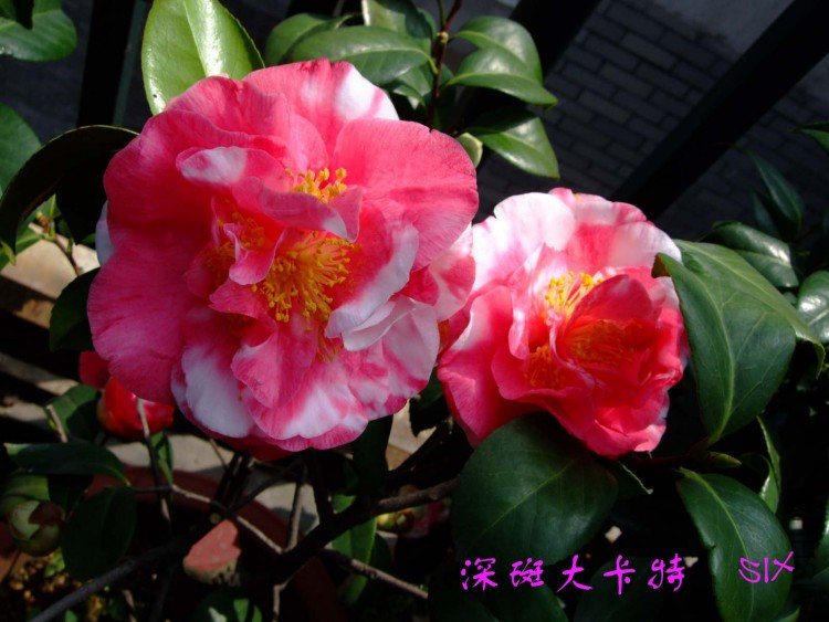 ��ߴ���  10-4-9(1).jpg