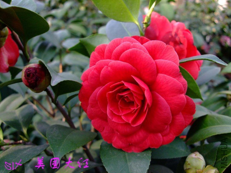 ���� 10-4-9 (3).jpg